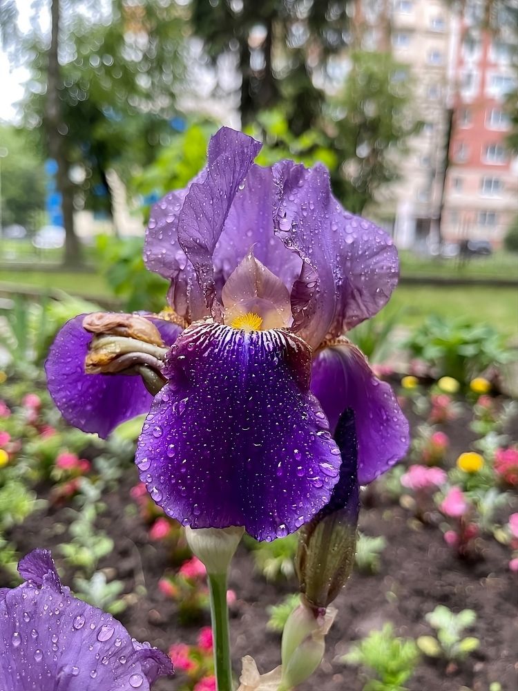 Photograph by Александр Михайлович