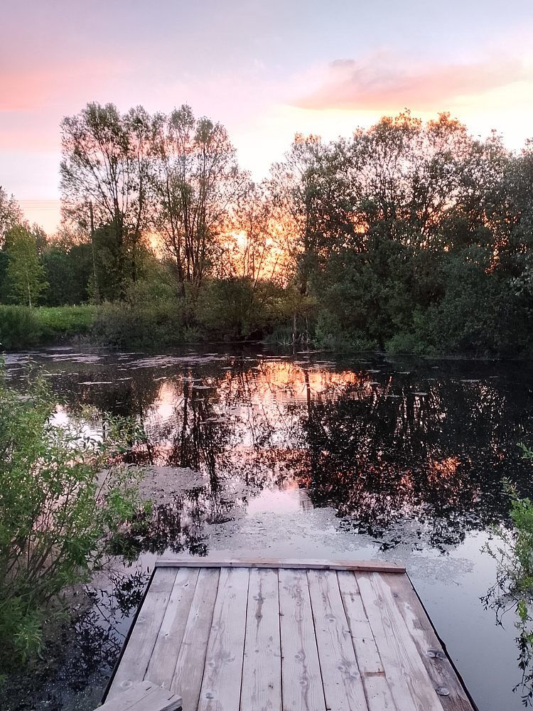Photo #10960302