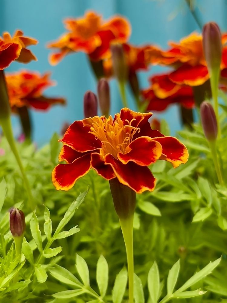 Photograph by Александр Михайлович