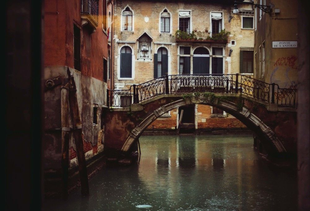 Фотография автора Анна Петина