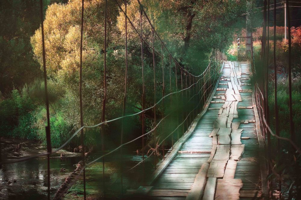 Фотография автора Анна Петина