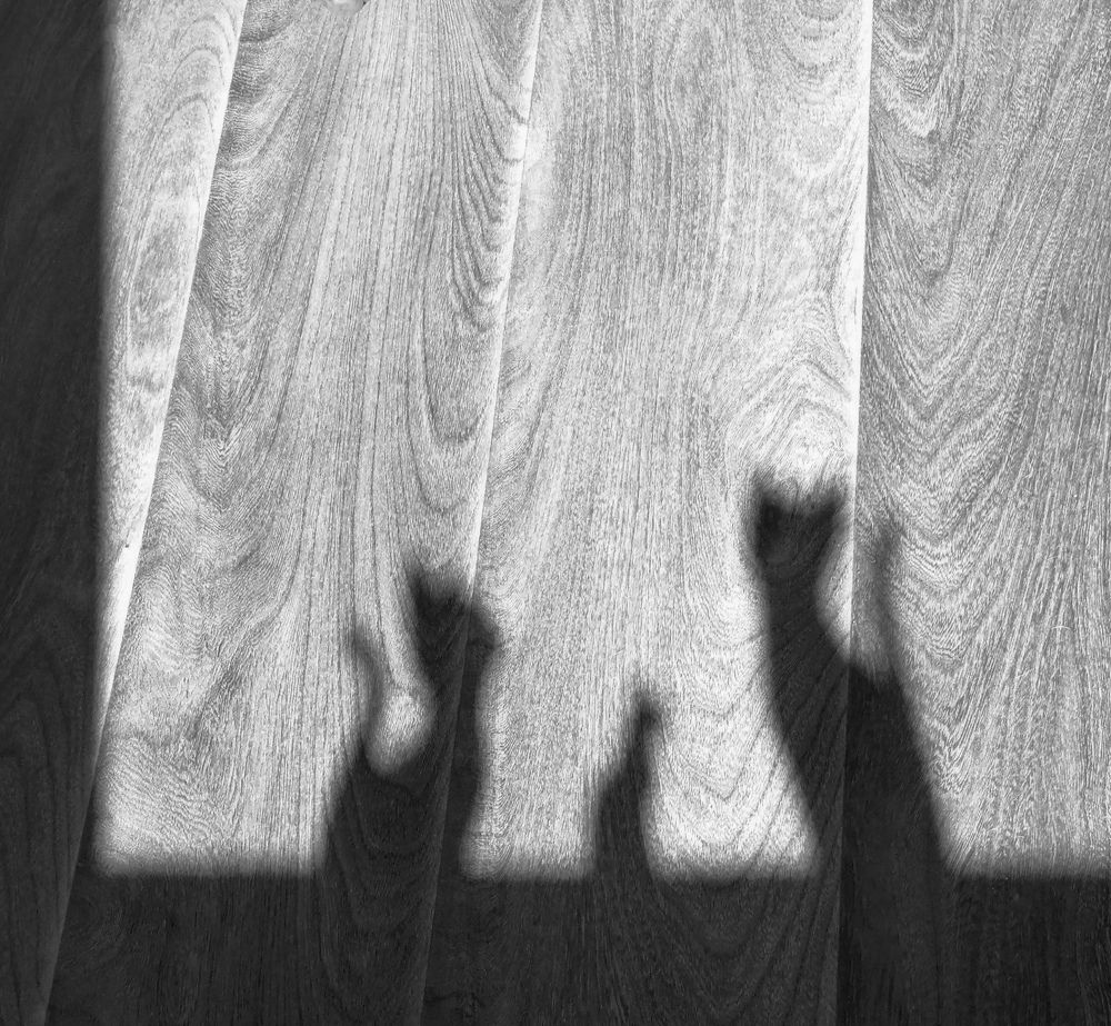 Photograph by Александра Шереметьева