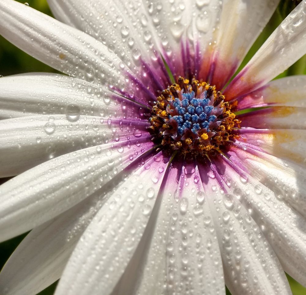 Photograph by Оксана Лоншакова