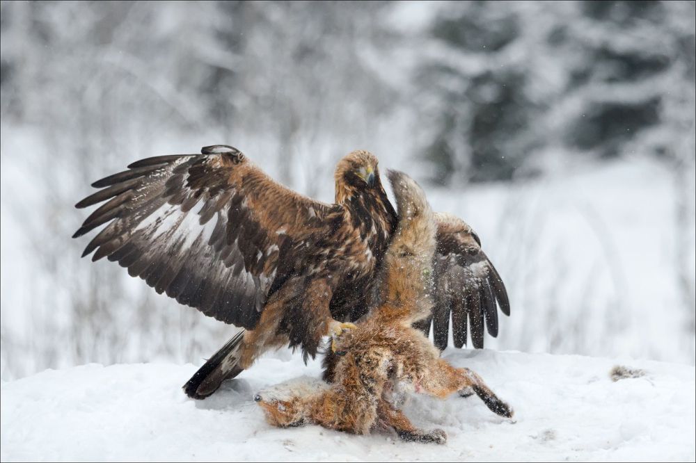 Photograph by Влад Соколовский