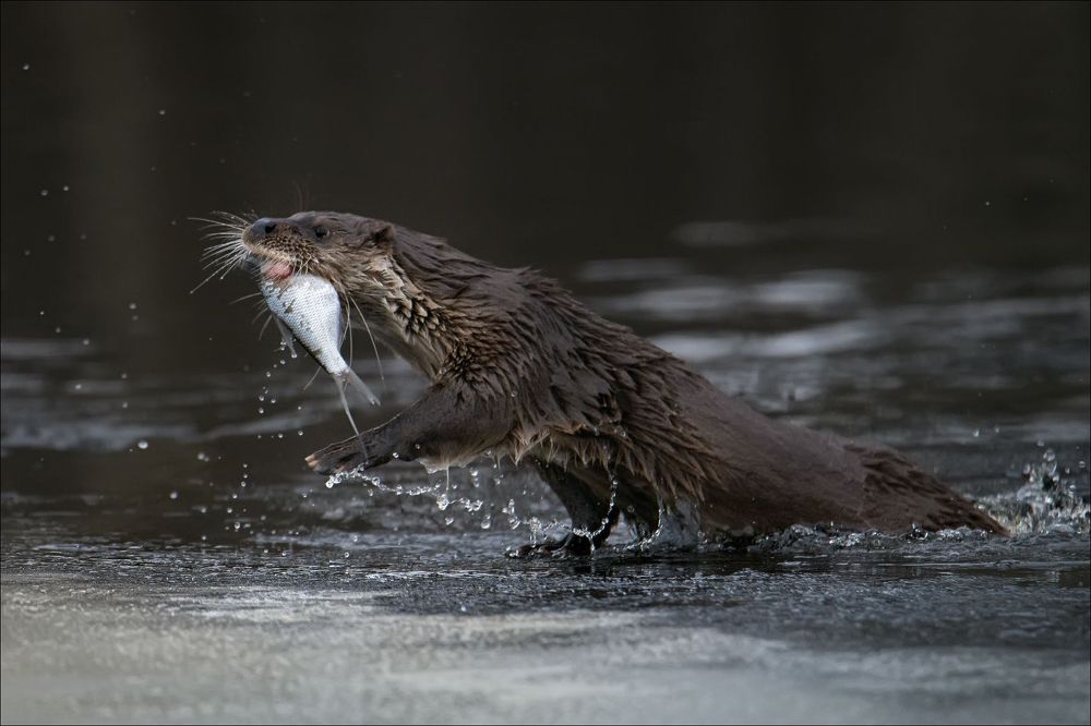 Photograph by Влад Соколовский