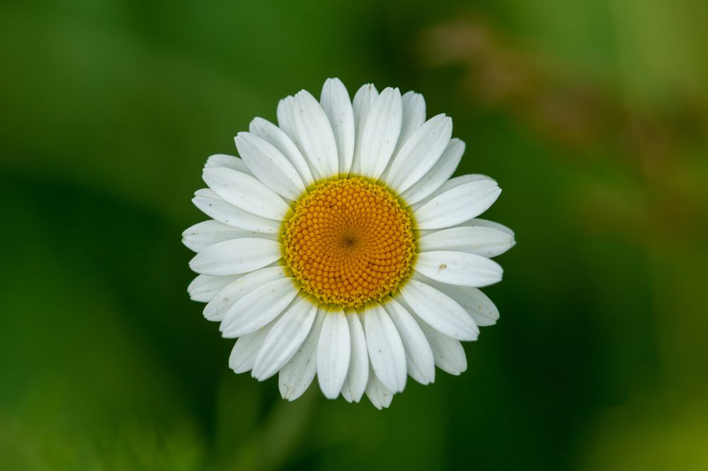 Photograph by Виталий Маслов
