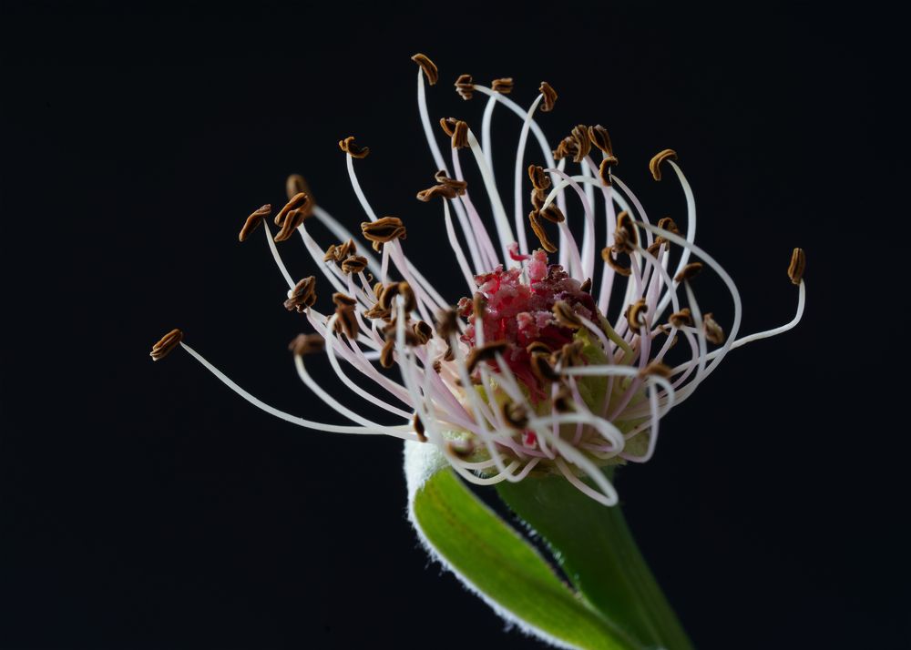 Photograph by Алина Еникеева