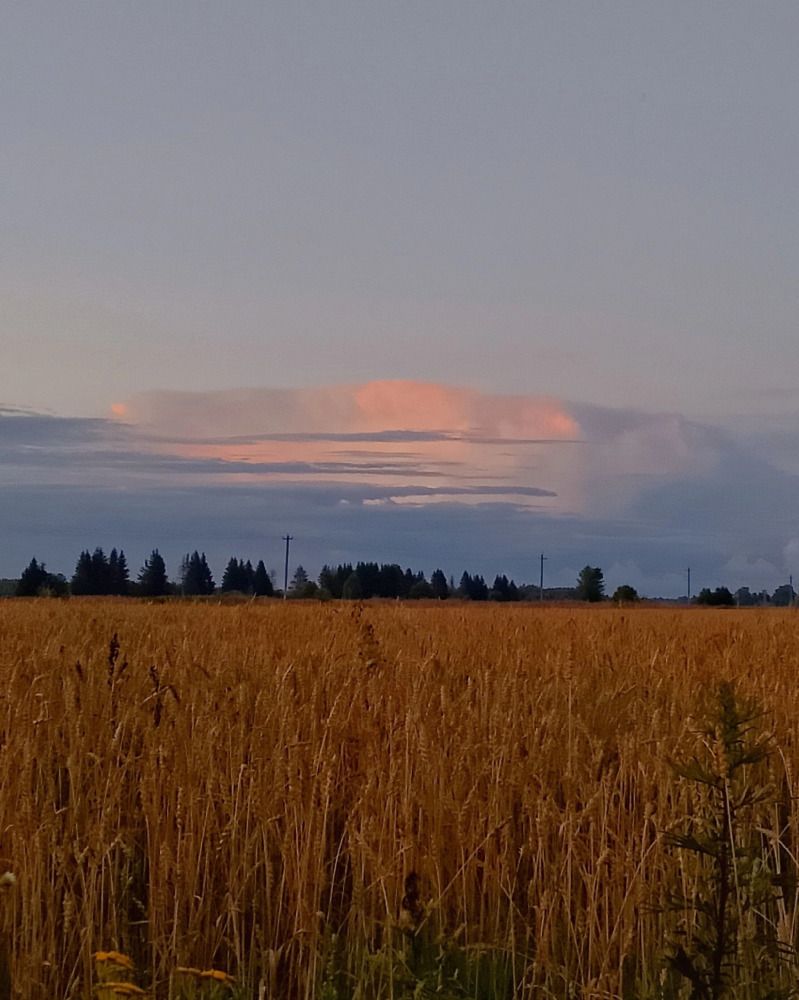Фотография автора Лорик Ларочкина
