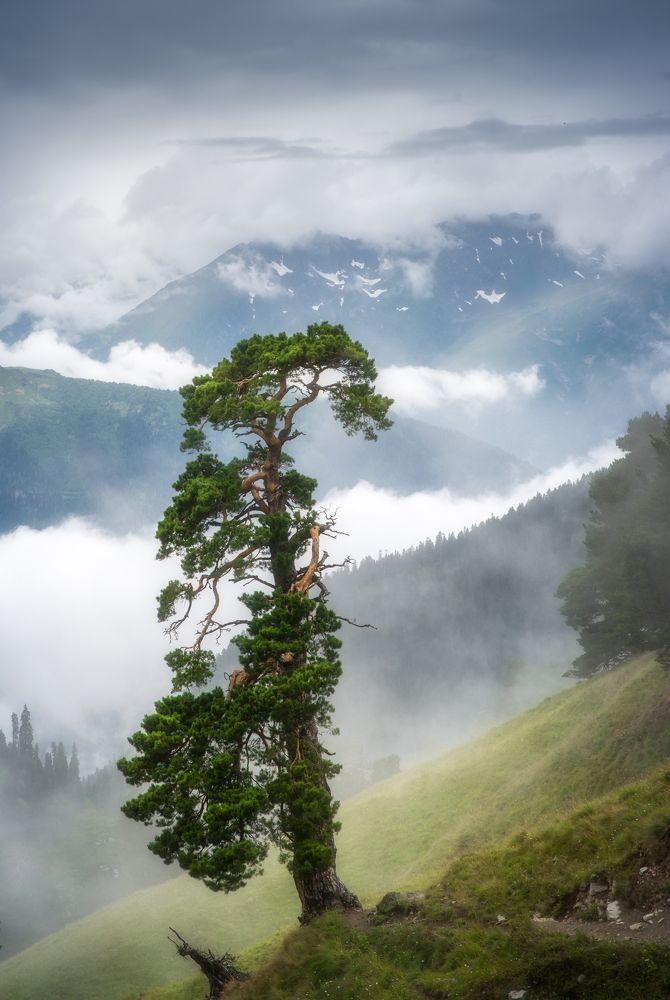 Photograph by Alexander Ornatskiy