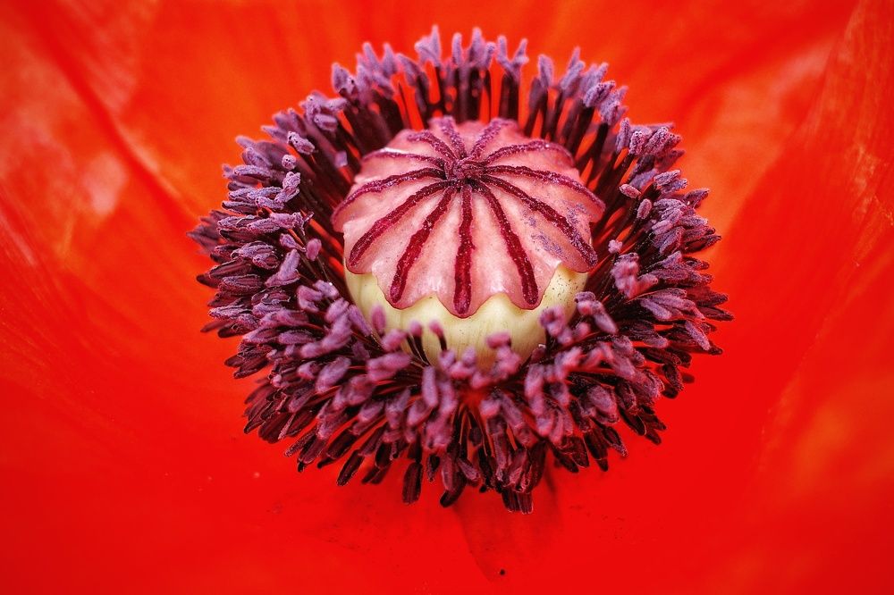 Photograph by Наталья Сафронова