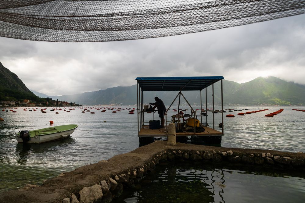 Photograph by Vania Tonova