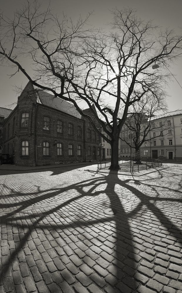 Тени Старой Риги