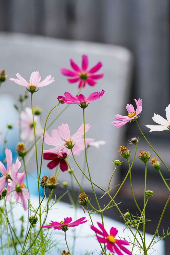 Photograph by Рослякова Елена