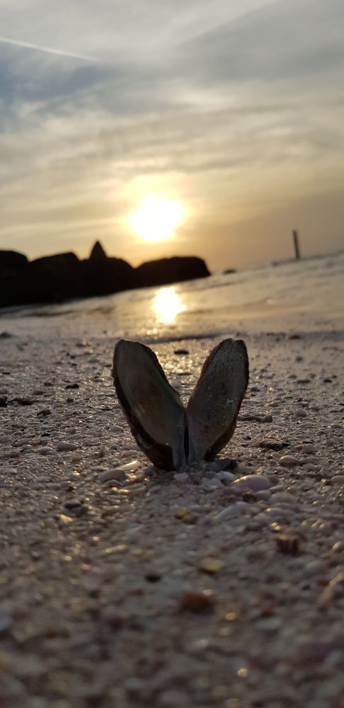 Photograph by наталья