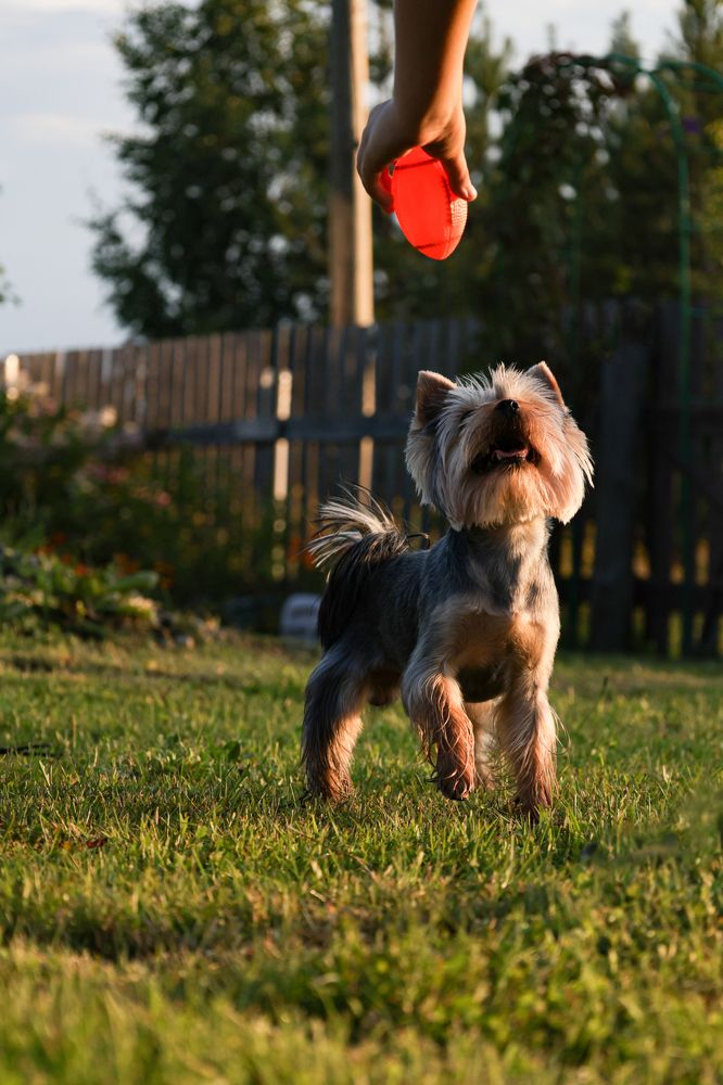 Photograph by Вальшина Алина
