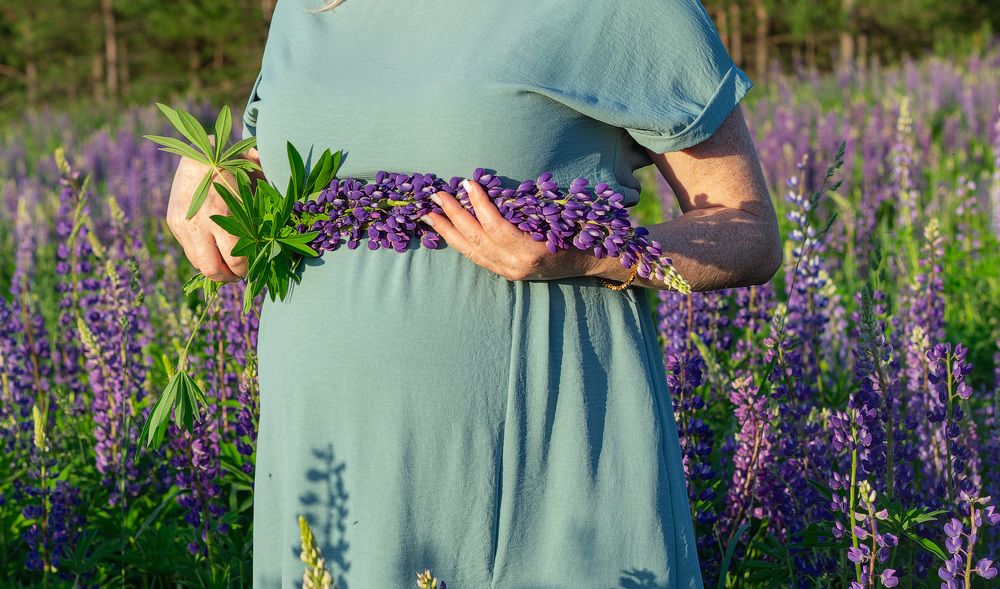 Photograph by Татьяна Михайловна