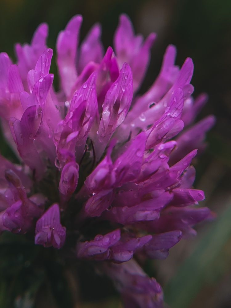 Photograph by Алия Латыйпова