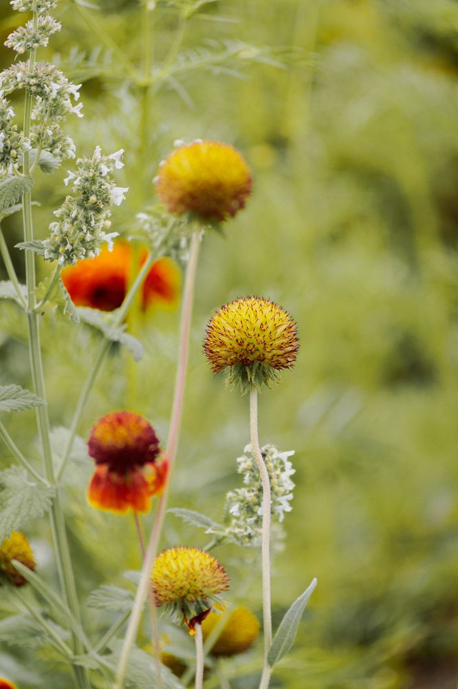 Photograph by Рослякова Елена