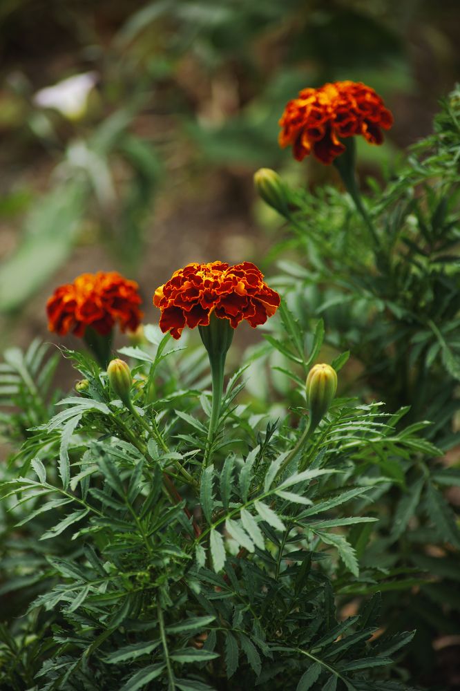 Photograph by Рослякова Елена