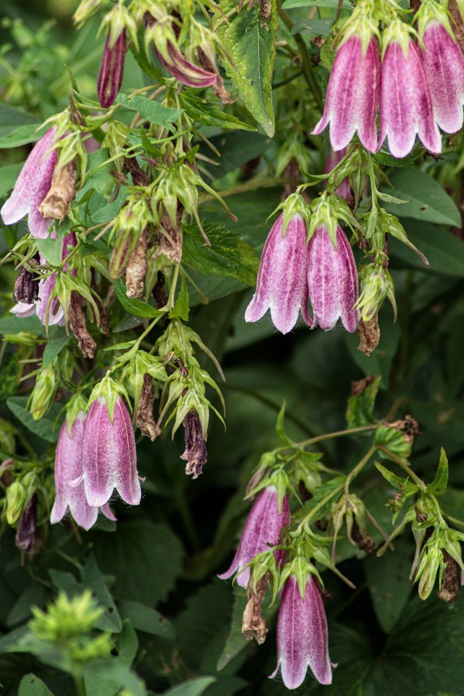 Photograph by Рослякова Елена