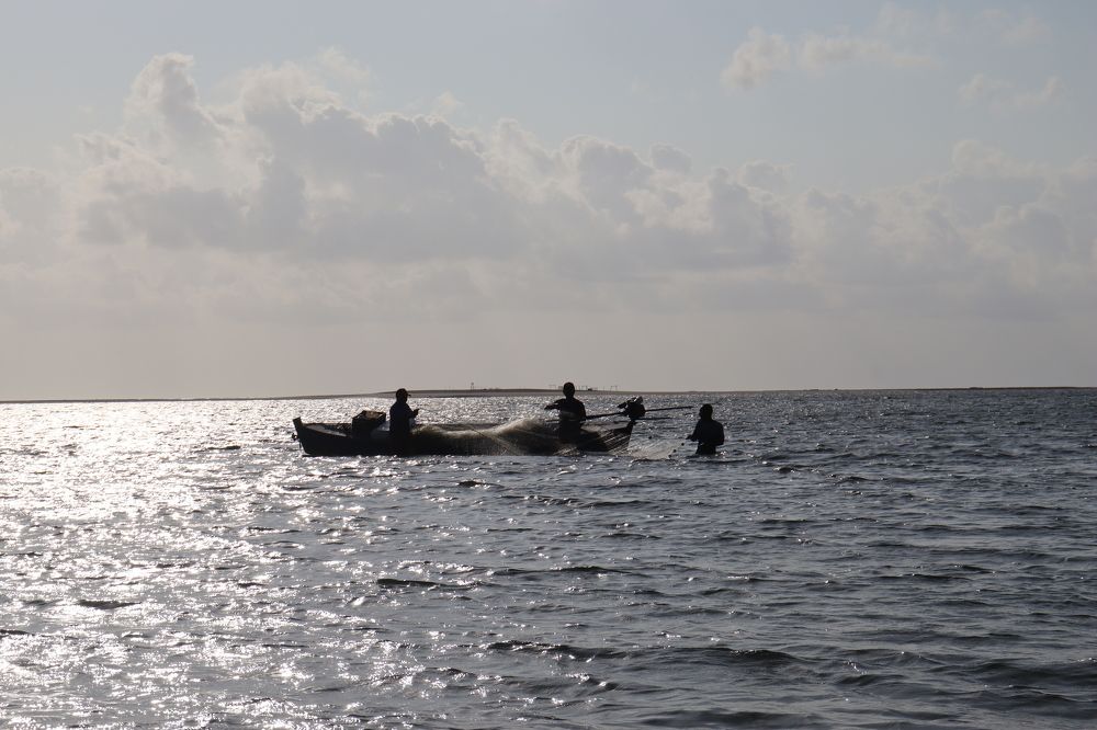 Pescadores (Fishermen) 2