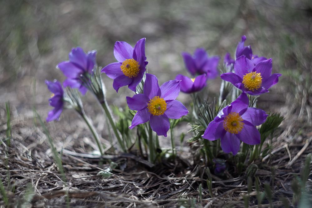 Photograph by Соболева Яна