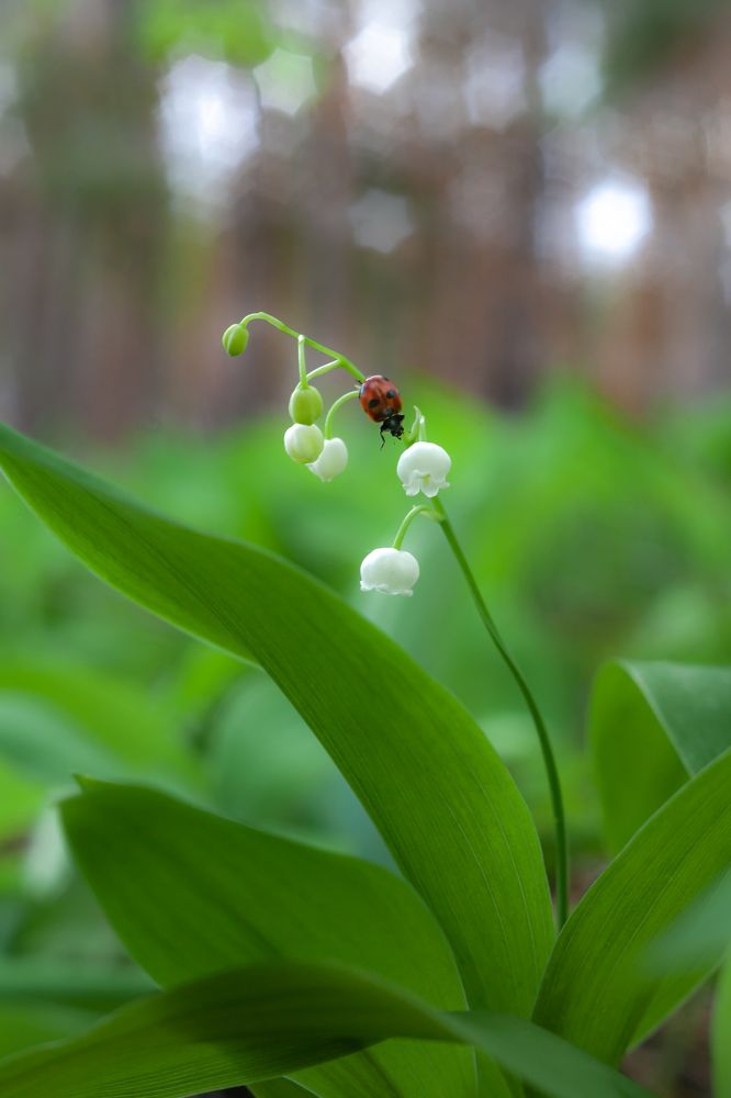 Photograph by Соболева Яна