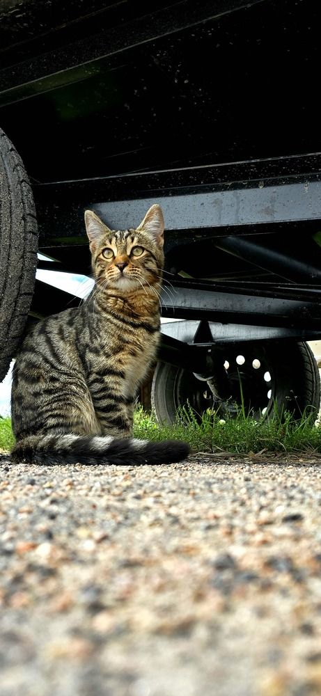 Photograph by Анна Семенова