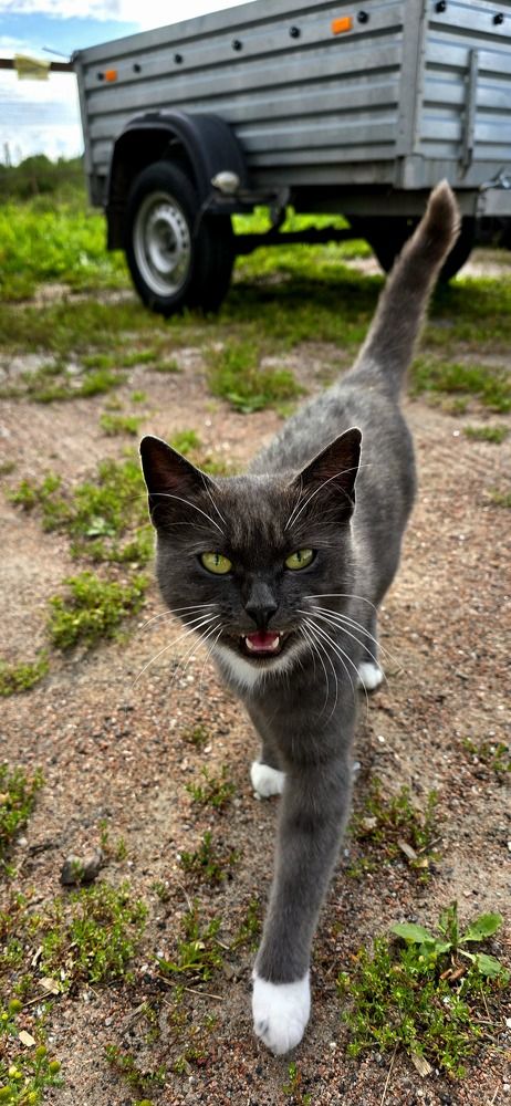 Photograph by Анна Семенова