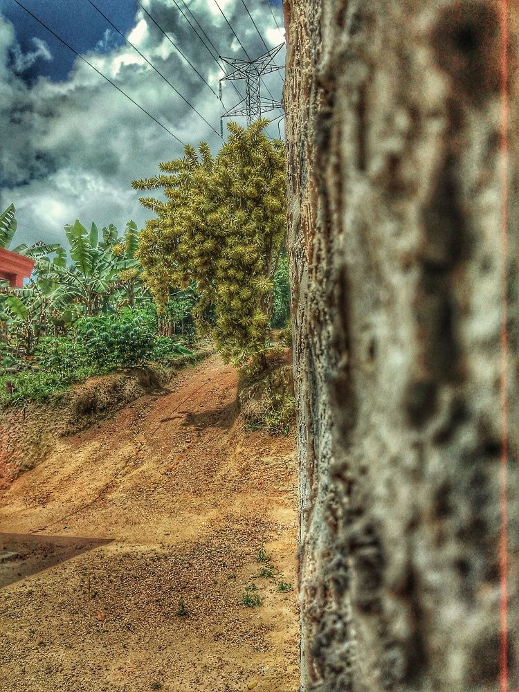 Photograph by Yasiru Rashmika