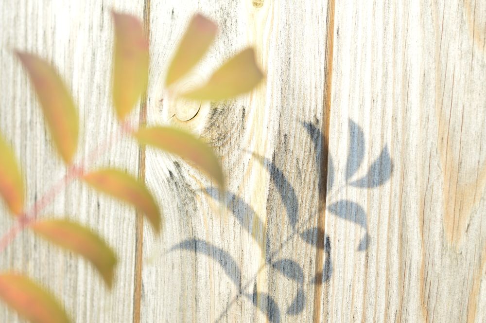 Photograph by Юлия Муртузова