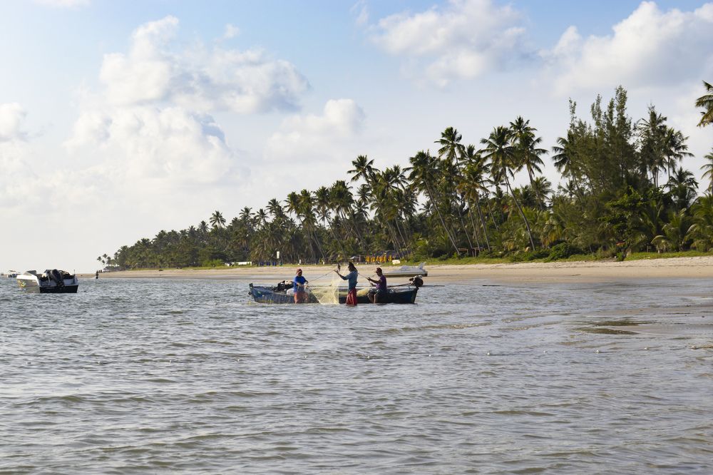 Pescadores (Fishermen) 3