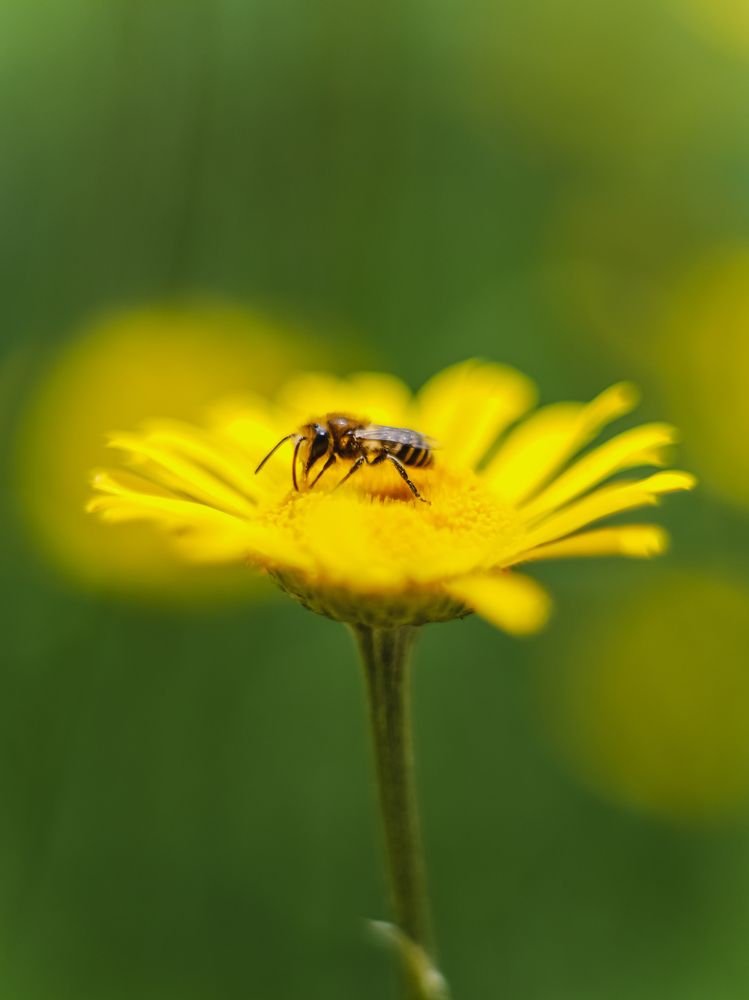 Photograph by Yuliya Karpova