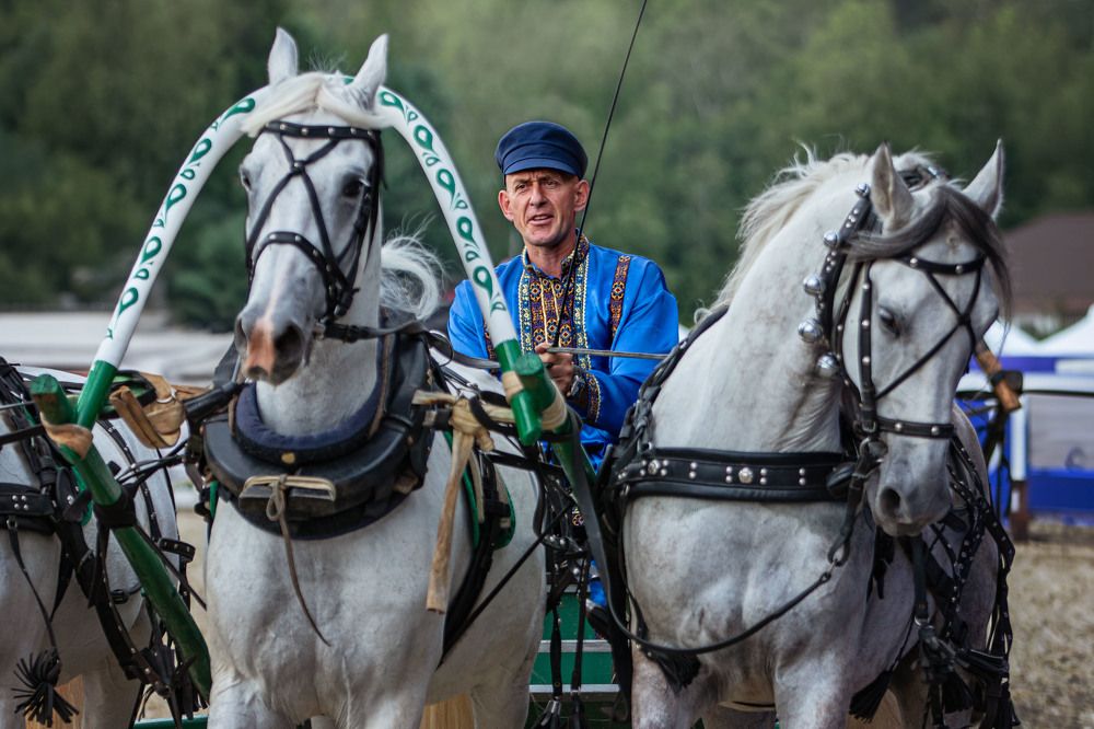 Photograph by Зубкова Юлия