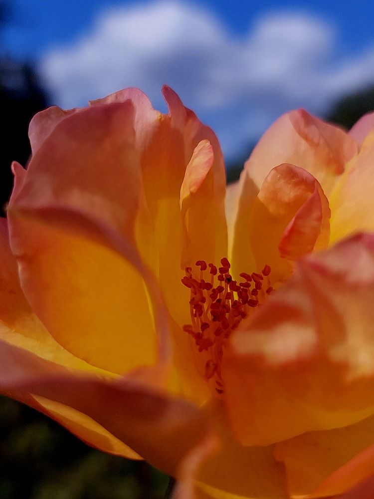 Photograph by Nora Cheprasova