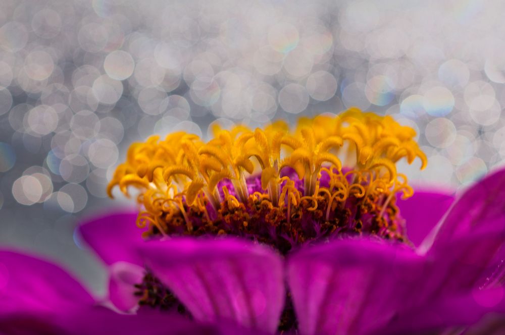 Photograph by Ирина Бабенкова