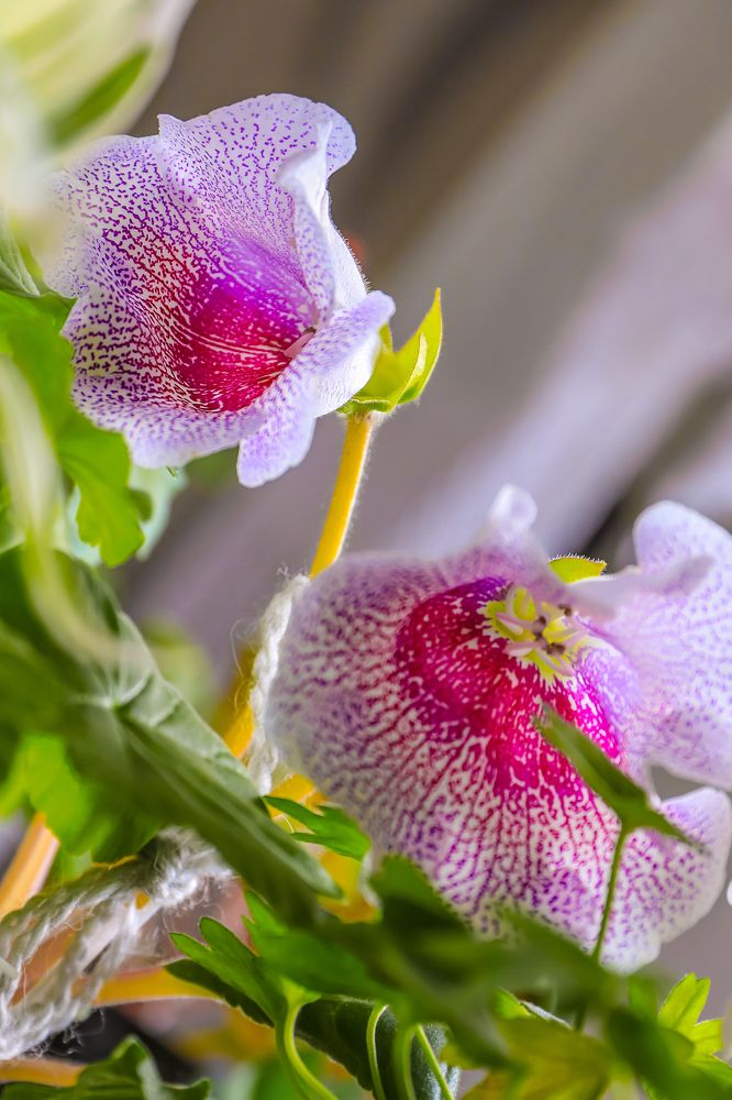 Photograph by Рослякова Елена