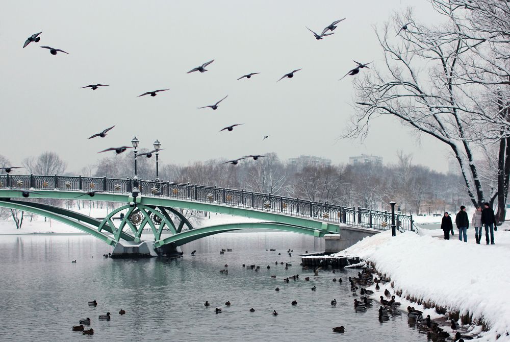 Фотография автора Анна Петина
