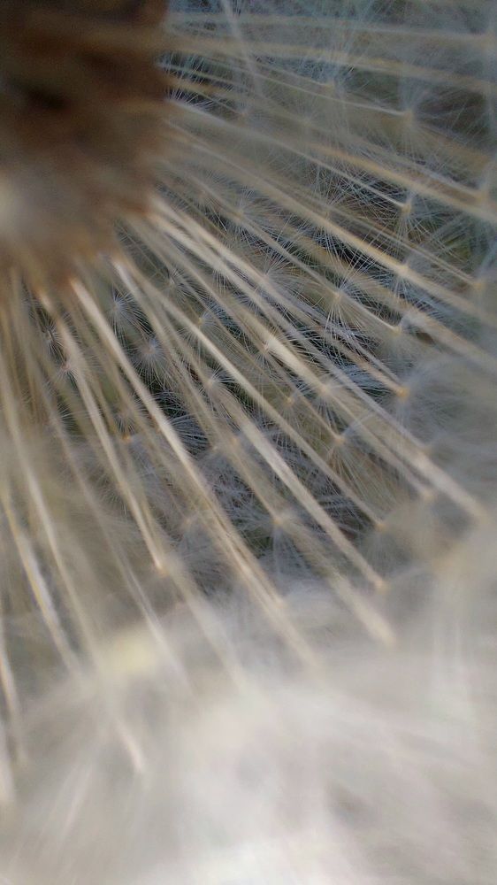 Photograph by Nora Cheprasova