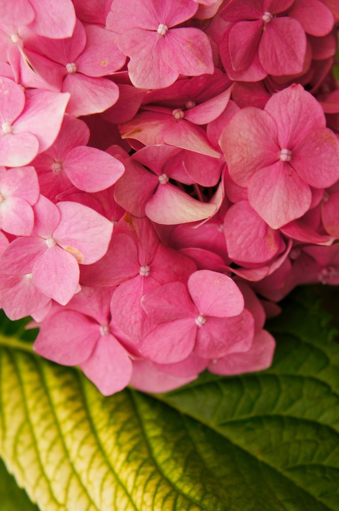 Фотография автора Ксения