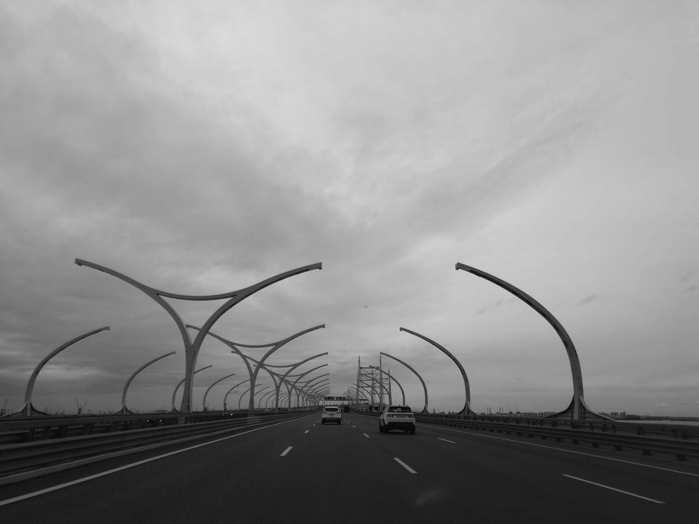 Фотография автора Вера