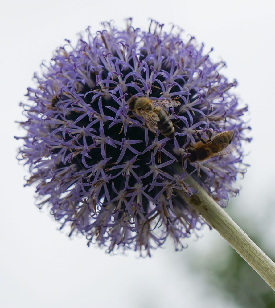 Photograph by Игорь Семеновский