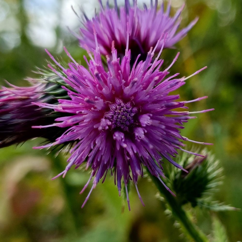 Фотография автора Татьяна Лука