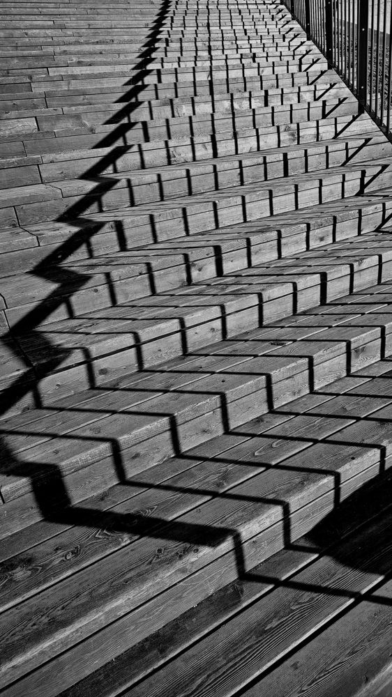 Photograph by Анастасия Свиридова