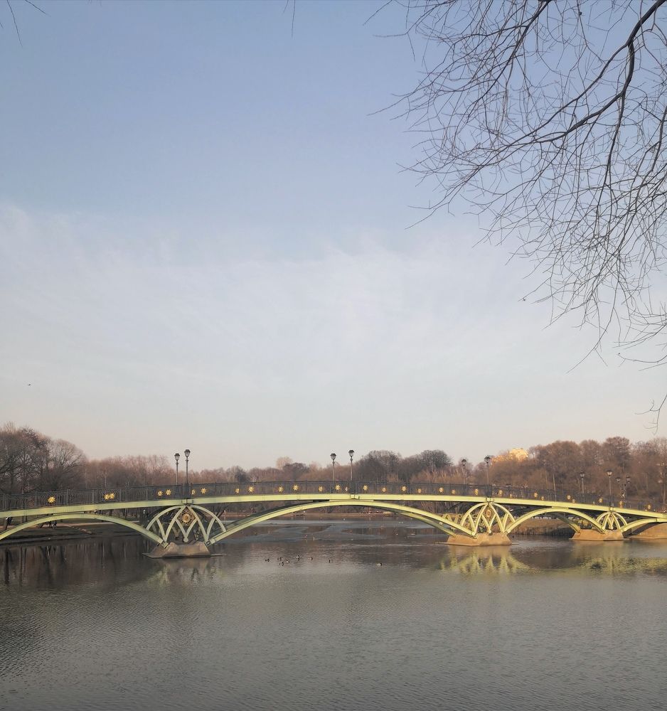 Фотография автора Вера