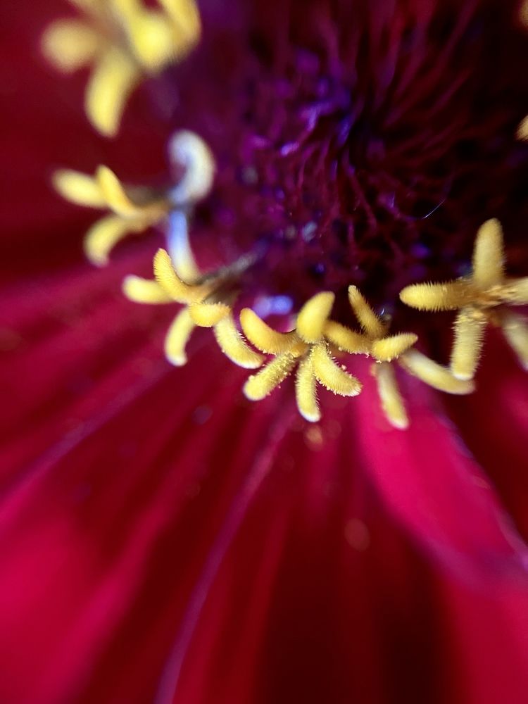 Photograph by Екатерина Одинцова