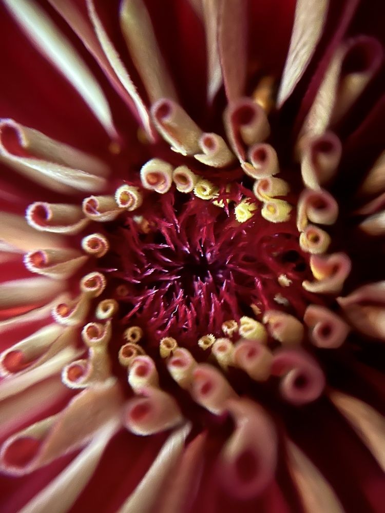 Photograph by Екатерина Одинцова