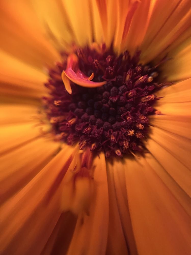 Photograph by Екатерина Одинцова