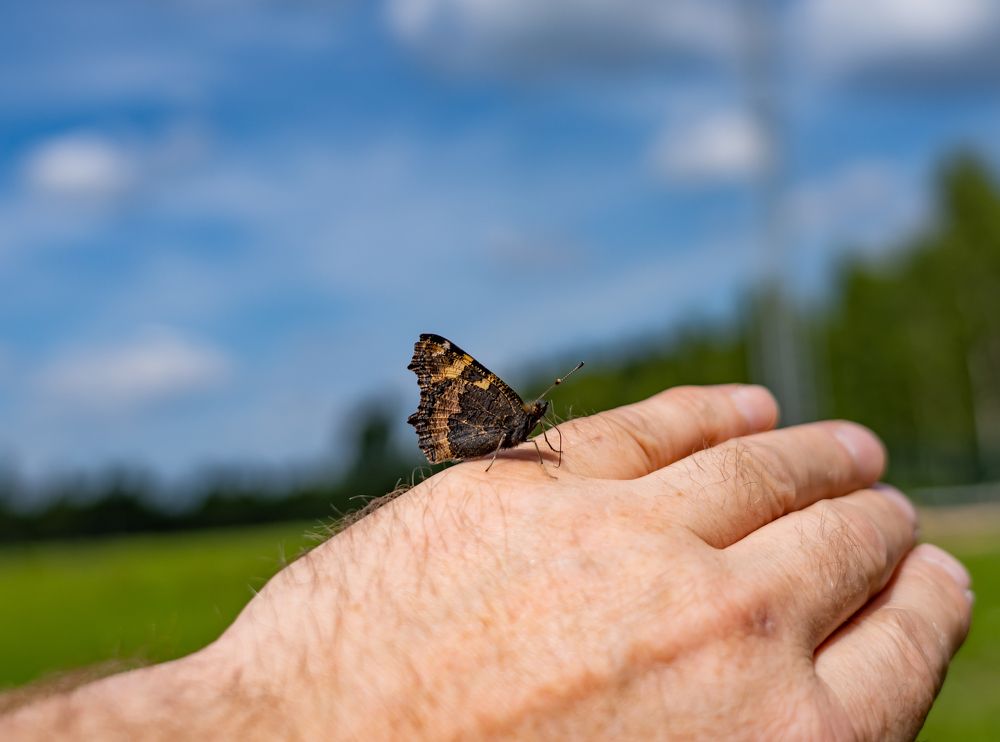 Photograph by 