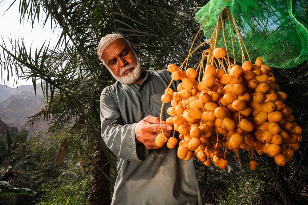 Фотография автора Kimia Shad